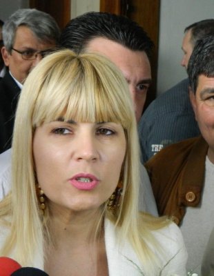 Udrea: PMP a semnat moţiunea de cenzură în semn de solidaritate